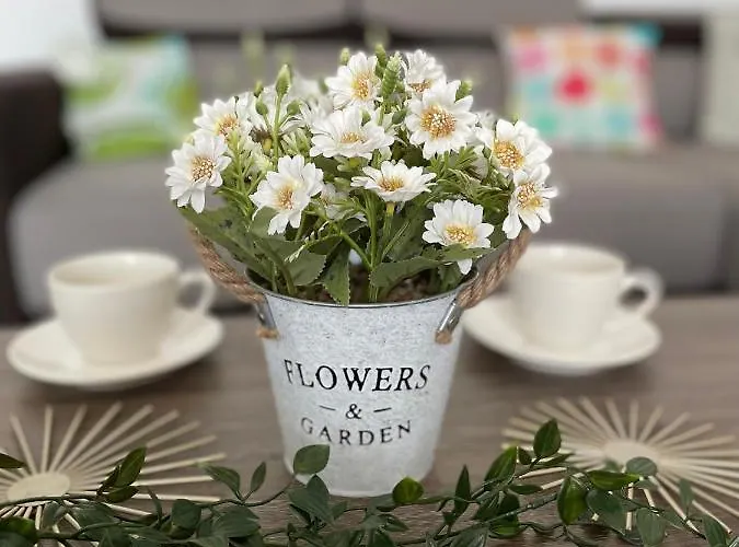 Luxymar 3 * מאמאיה